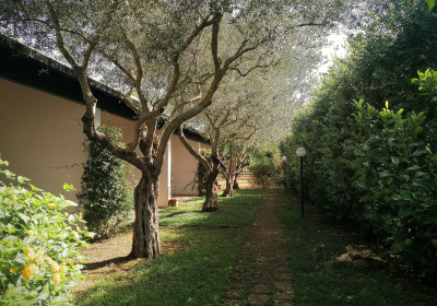 Campeggio Residence Lilybeo Village
